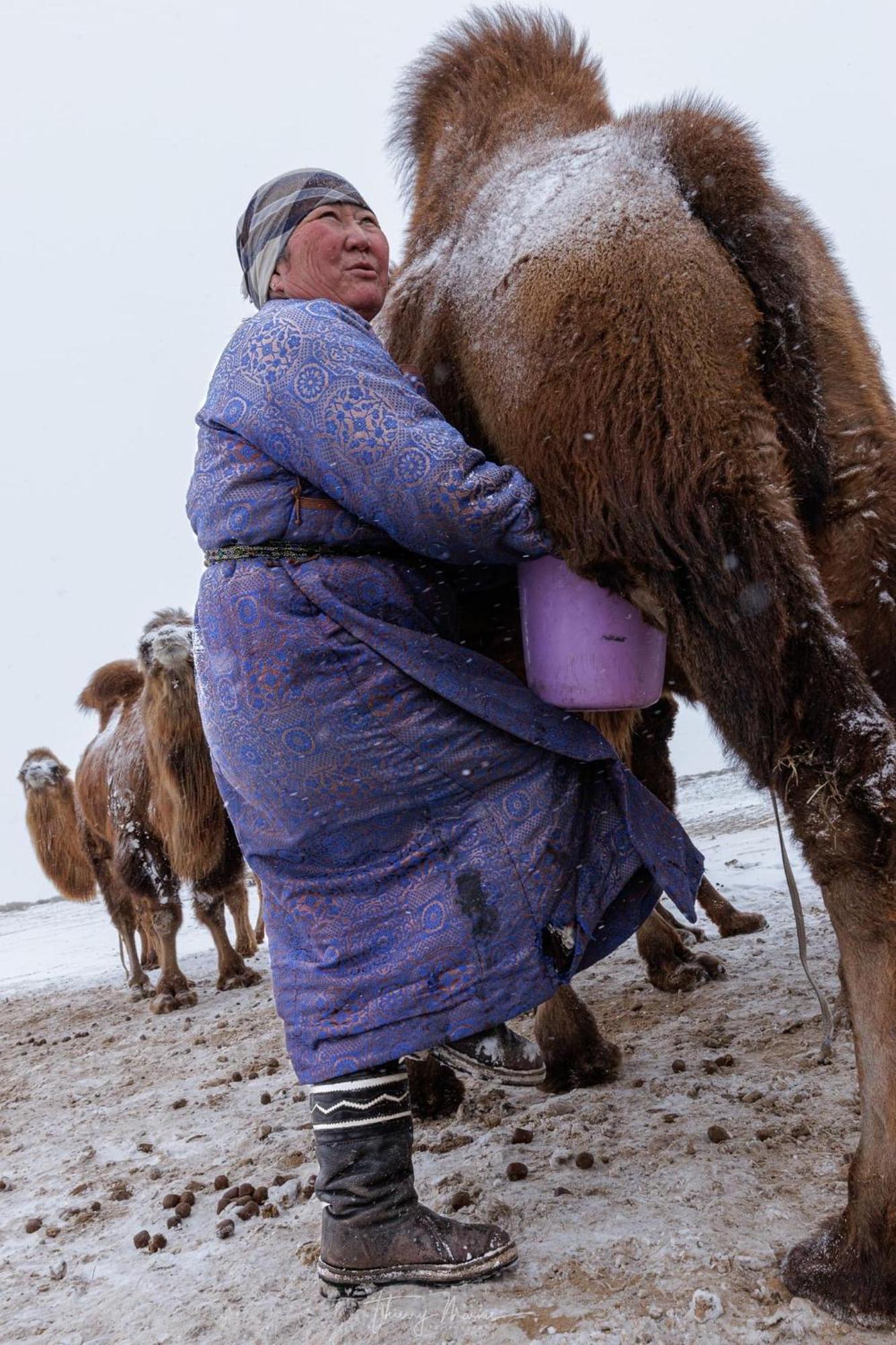 Gobi-Girl 호텔 울란바토르 외부 사진